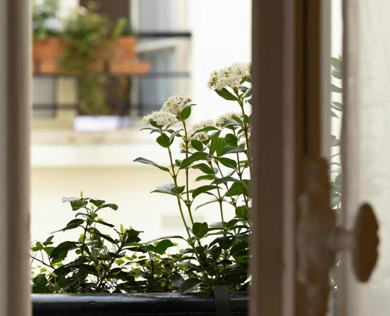 Hotel Clement Paris